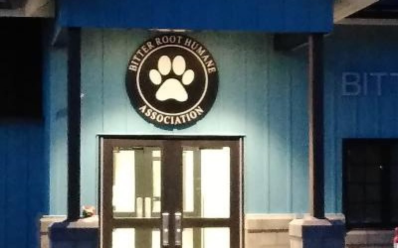 shelter at night